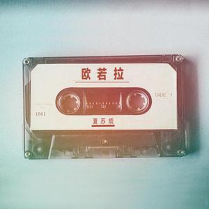 老妇被巨大进入惨叫
